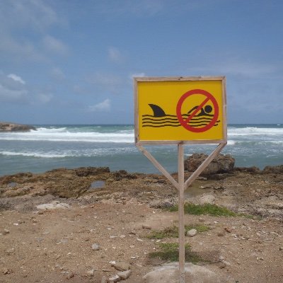 StoneNelson's profile picture. Wyoming transplant currently exiled to Virginia. Former Army Redleg. Book reader, runner, aspiring cyclist. Science, foreign policy, national security. 🇺🇸🇫🇷