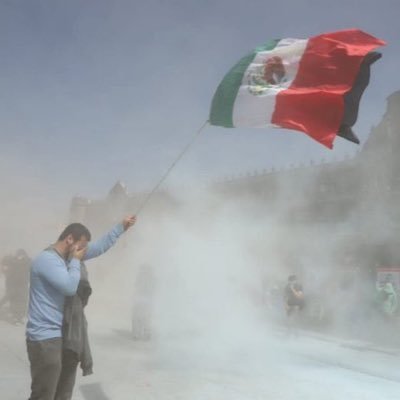 igealan's profile picture. Sempre in crescita