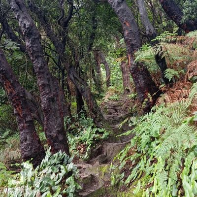 1023LeeJiEun's profile picture. it’s me Lee (owner purple)
IG https://t.co/7q4xoqTCGO