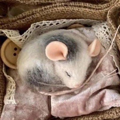 cutebugirl's profile picture. #booktwt lets be friends!