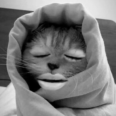 snowflwrthv's profile picture. 하하하☘︎