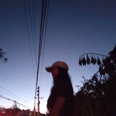 szageee's profile picture. dm me for proofs! hello 

bc1q3kyn4whrd9mwyp98dxg6dm55ptu6su7etafm2a