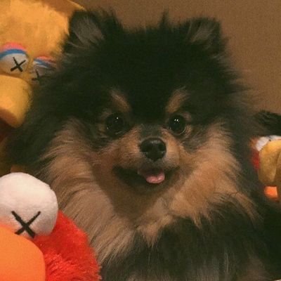 taechwitagustd's profile picture. @daeguboystaegi_