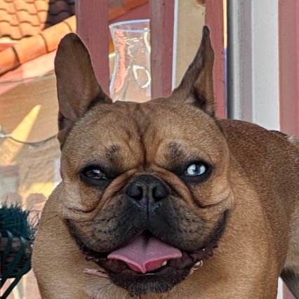 b_ricky95001's profile picture. 