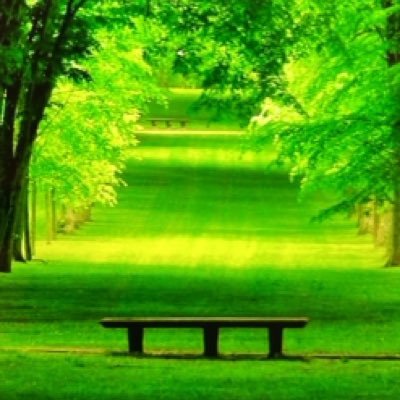 Chuggiebadcat's profile picture. 