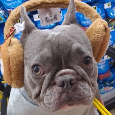 TylerH257929's profile picture. Help