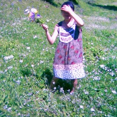 liner_spring's profile picture. Liner. a university teacher with a PhD in Applied Linguistics @visit_spring @redsea_spring @fangchun_spring