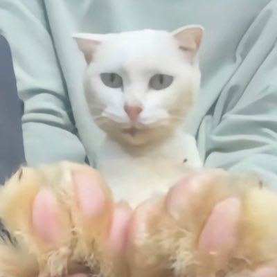 q_panty28480's profile picture. 