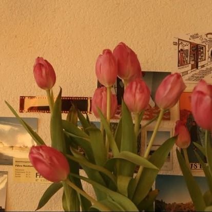 Nobitahoonmein's profile picture. 𝘐 𝘢𝘮 𝘰𝘶𝘵 𝘸𝘪𝘵𝘩 𝘭𝘢𝘯𝘵𝘦𝘳𝘯𝘴, 𝘭𝘰𝘰𝘬𝘪𝘯𝘨 𝘧𝘰𝘳 𝘮𝘺𝘴𝘦𝘭𝘧..🕯️