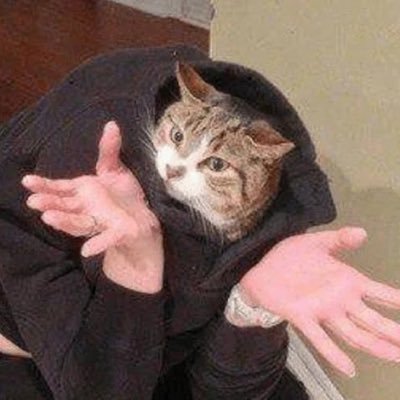 Selixir_5S's profile picture. New account from @Selixir_HD