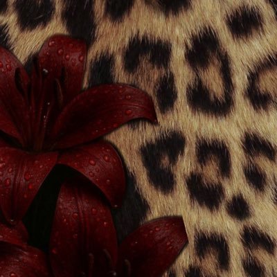 rwi2lr's profile picture. قـانـونـيَّـة ⚖️ | بـكـالوريوس أنظمة | أسيـر في دروب العَـــدالــة ، وأحــلم بـالمـحـاماة ⚖️🩶