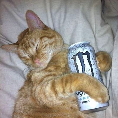 ft_Samprit's profile picture. 