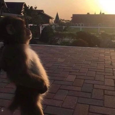 ampflp63's profile picture. 