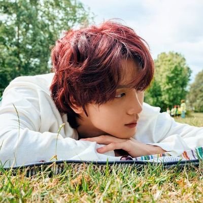 c00kiescrem's profile picture. fullsun's sunflower ⋅˚₊‧ ୨ filo dreamzens ୧ ‧₊˚ ⋅