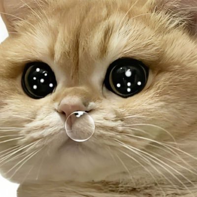 chhuycypto44's profile picture. My own world is my own tower. It's built for my desires. #Hidden_CryptoGem_Searcher #BLOCKCHAIN 🎀