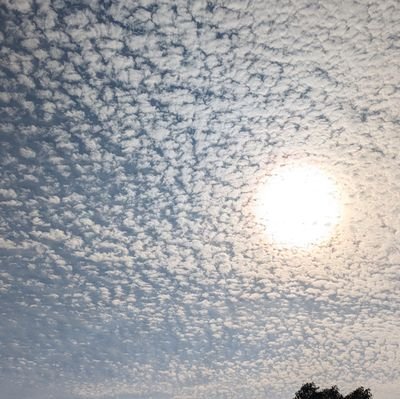 mimirapi3131gm1's profile picture. 宝塚ファン歴は長いのですが、礼真琴さんのような素晴らしいスターさんは後にも先にも無いのでは⁉️と思うくらい素晴らしいスターさんだと思っています💖
こっちゃんの事を褒め称えていらっしゃる方、無言フォロー失礼します。