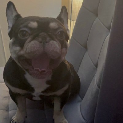 CraigCa77353197's profile picture. You know, That I know, that you know I know so who knows that we should know! 

Is the question???! 

“Secretes”