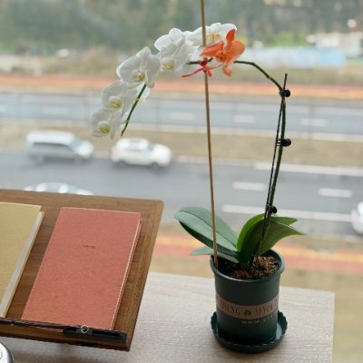 qqwbfd's profile picture. 좋은 날을 하느님은 그냥 주시는 것이 아닙니다. 스스로 만드십시오.