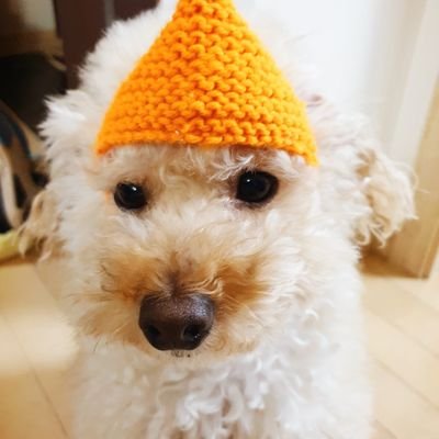 Ohwool339813's profile picture. 성인 여성 
투자초보 대학생