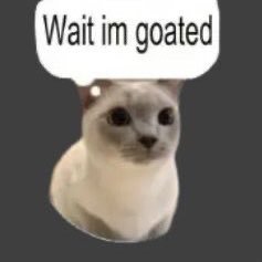 tilttl's profile picture. mestre em misantropia, bronze no resto