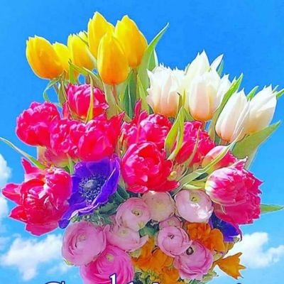 RajarshiManna1's profile picture. jobs