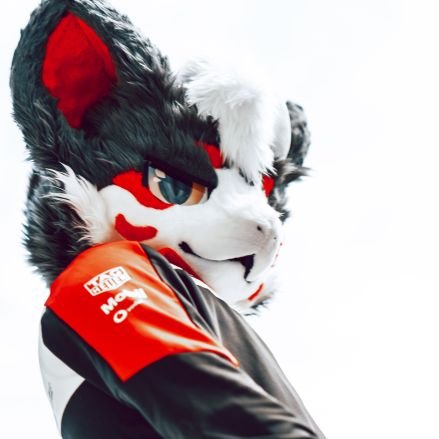 SolaR_and_Crux's profile picture. A little dragon
🐧：2997602016