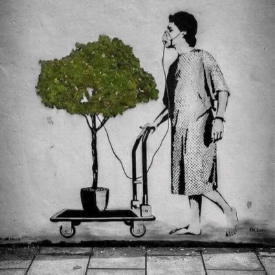 mondayfadhy's profile picture. God’s plan. This account does not support any form of bullying. Free Palestine 🇵🇸