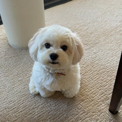 KateAnchev123's profile picture. Learning is the only path to success
Family