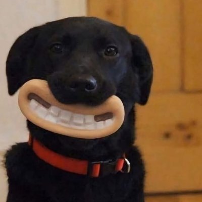 oestagiarioplus's profile picture. tentando ser o cara da ti - concursos - games - nerdices