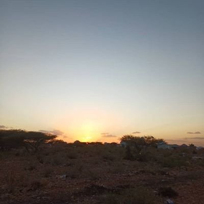 EngBuraale77's profile picture. I'm mohamed muse abdi,
 I'm sunni Muslim,
civil engineer,Architectural engineer