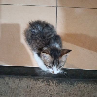 pantai_gunung's profile picture. 