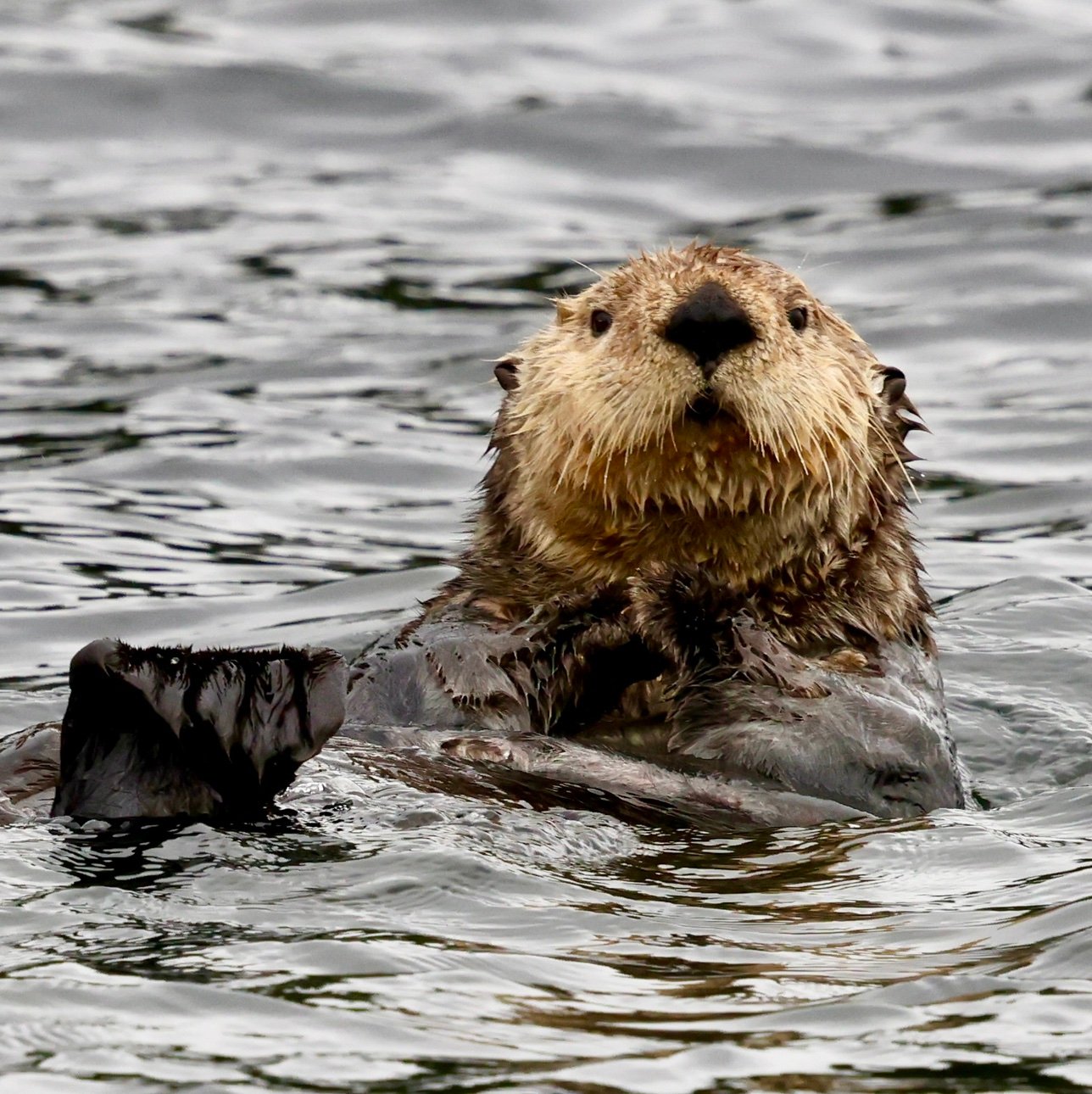 JakeDuan0815's profile picture. 