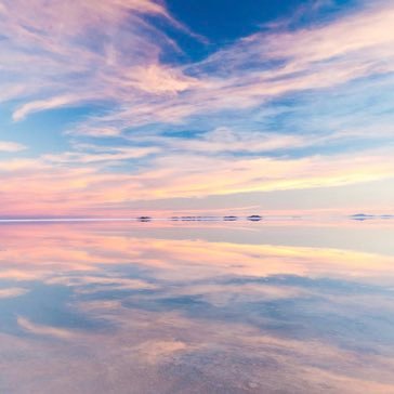 AAMSR23142046's profile picture. 