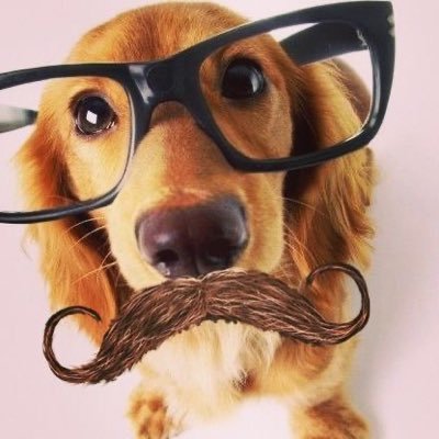 linnq__'s profile picture. @Iinquint priv acc!!! everyone welcome,, I mostly post wips and doodles (come join us,,yes,,every one of you must gather together…🤫!!)