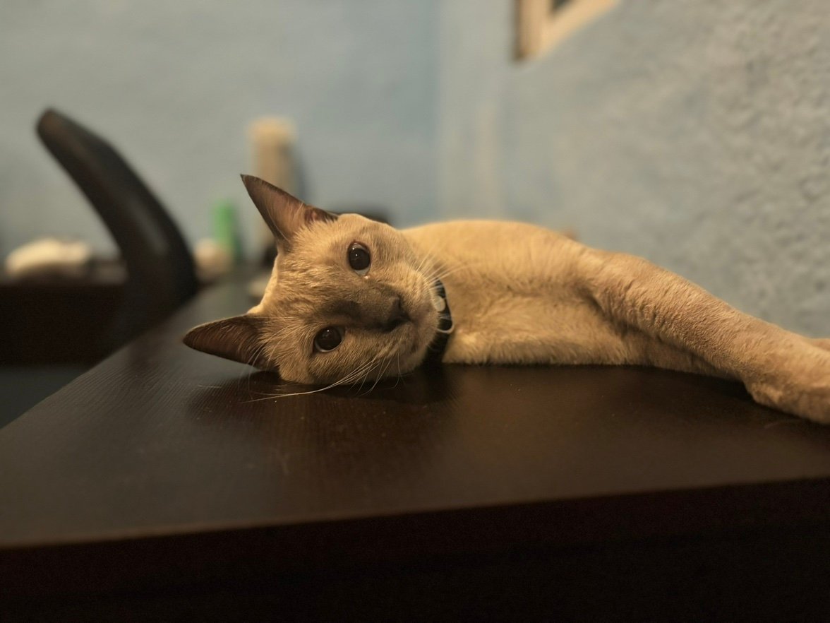 JulioP1315's profile picture. 