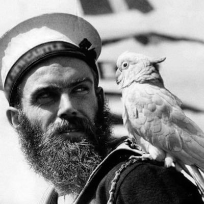 BrendanN4dn3rb's profile picture. @XOwlz589 🦉 | Esoteric riddles, XRP magic, and moon-bound mysteries 🌕