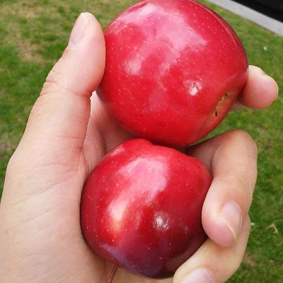 CaizhenZou9405's profile picture. 