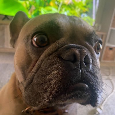 ReeFonteyn's profile picture. Believe in som ETH ing!