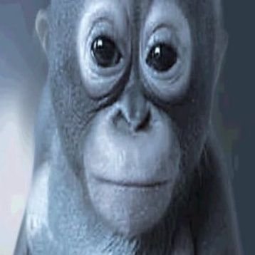 nannadodry's profile picture. lost midia da zona oeste