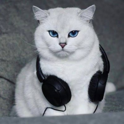 TheCryptoPurr's profile picture. Web3 storyteller 📖 | Crypto Influencer & early adopter  decentralized revolution 🌍 | Let’s build the future together 🚀
contributor: 🧠 Satsume,@circle