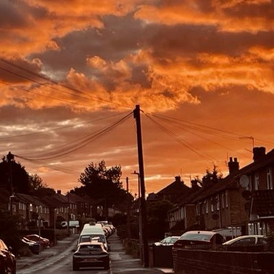 televe5w's profile picture. 