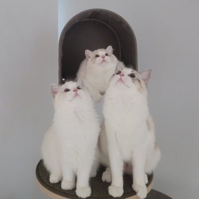 Dreamjm777's profile picture. #재민 #마크 nctdream 🌱 markmin🐯🐰