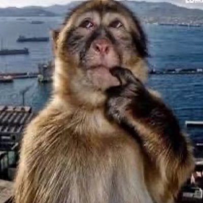 C1ete's profile picture. 05 / 25.02.24~26.08.23 雖死不敗✡️靑星鬪魂