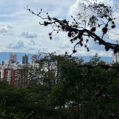 juanfelipestrad's profile picture. Nunca es tarde para empezar de ceros !
Pienso luego existo !
UN DÍA A LA VEZ!