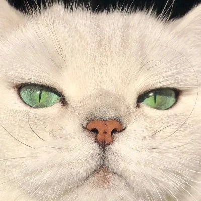 peera9055's profile picture. 