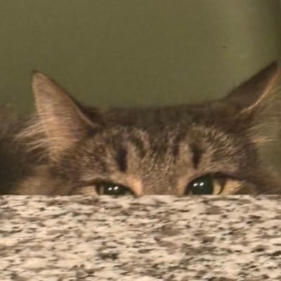 _kkaitlynnn_'s profile picture. bye bye