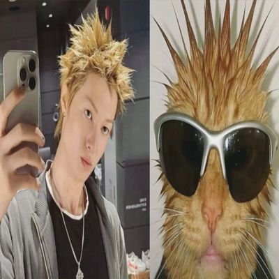 TinaArraso's profile picture. 