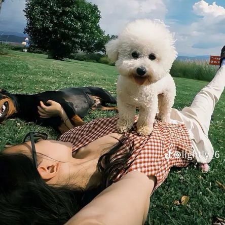 blooomy's profile picture. but my account is random who doesn't want to be followed by anyone.