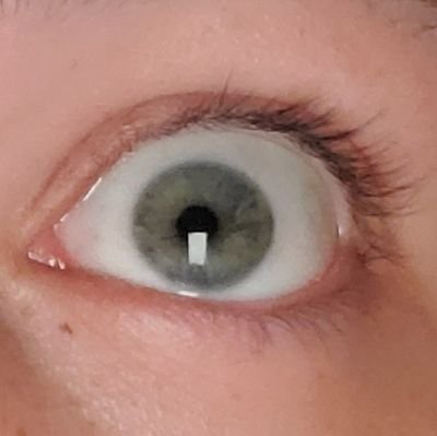 Superyeetman's profile picture. going to the police station with a 'ask me about my Vietnamese child slave' shirt on. times I was offered to become a sugar baby: 1