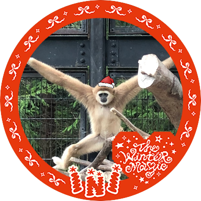 motiti69919484's profile picture. 